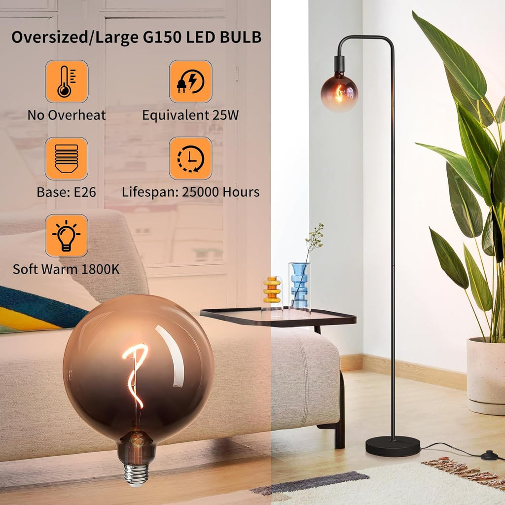 Floor Lamp - Minimalist Industrial Standing Lamp with Modern LED Bulb, Globe Black Clear Glass 6"