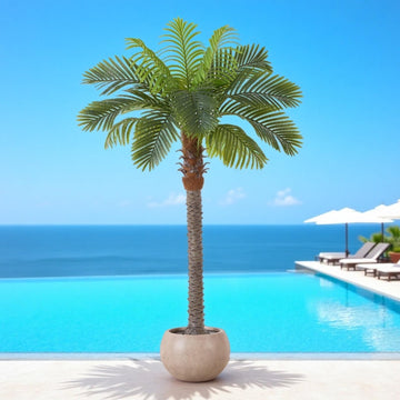 6FT Artificial Coconut Palm, Faux Coconut Silk Palm Tree in Pot (1 Pack)