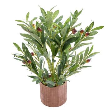 16.8" Artificial Olive Plant in Terracotta Pot for Tabletop Decor