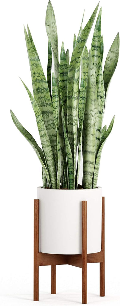 Mid Century Plant Stands for Indoor Planters, Acacia, 10 Inch | Plug In Design, Holds 175 lbs, Two High Options