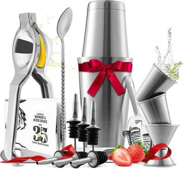 Bar Set Cocktail Shaker Set, Stainless Steel Mixology Bartender Kit, 16 Piece Cocktail Kit, Silver Cocktail Set, Bar