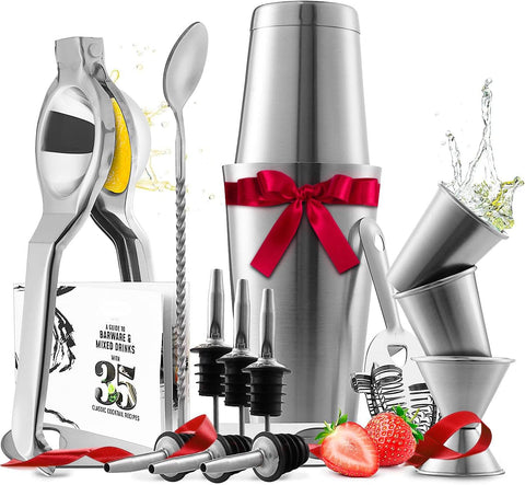 Bar Set Cocktail Shaker Set, Stainless Steel Mixology Bartender Kit, 16 Piece Cocktail Kit, Silver Cocktail Set, Bar