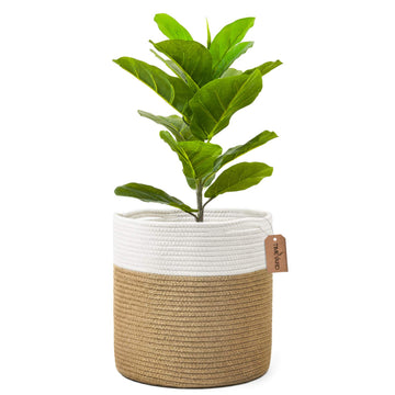 Large Plant Basket, Planter for Indoor Plants, Jute Mixed White