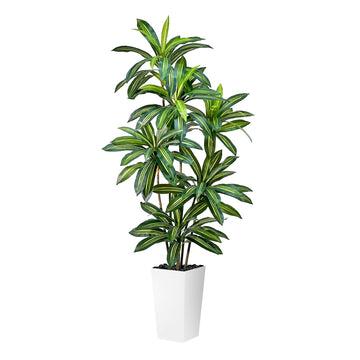 Artificial Dracaena Tree 6FT Tall Fake Plant with White Planter - Realistic Faux Dragon Tree with Tall Planter