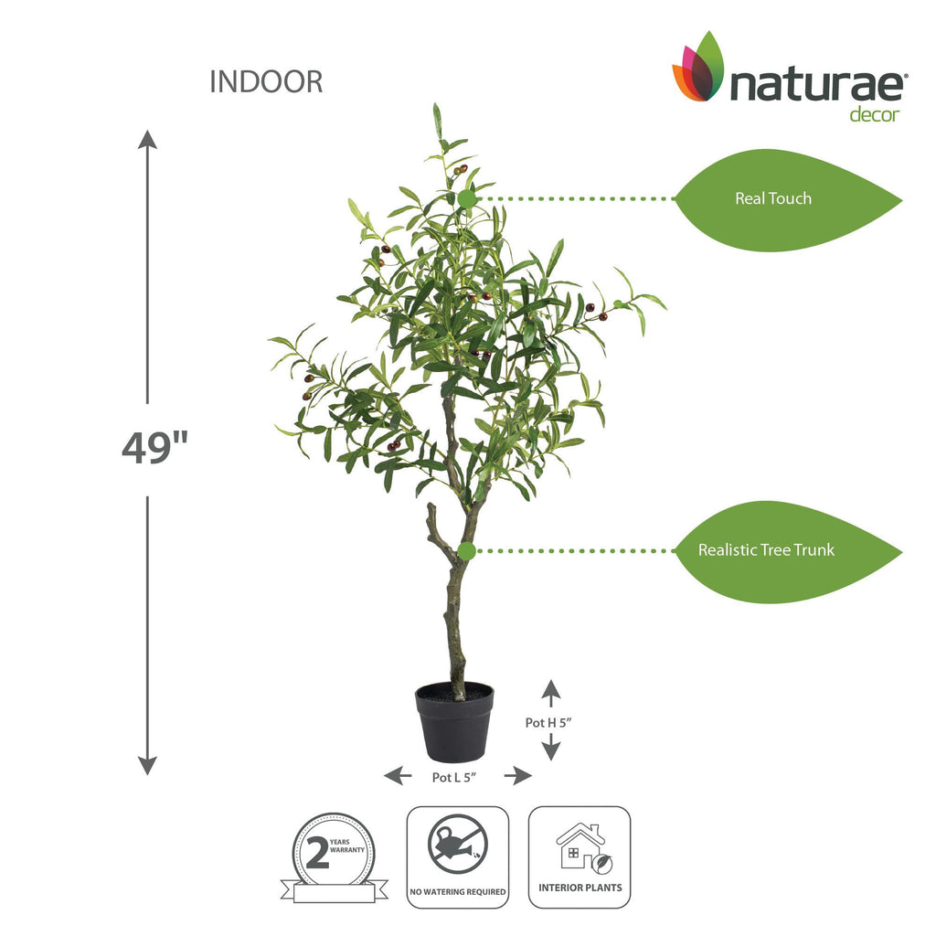 Olive Tree - Lifelike Artificial Indoor House Plant (49 Inches)