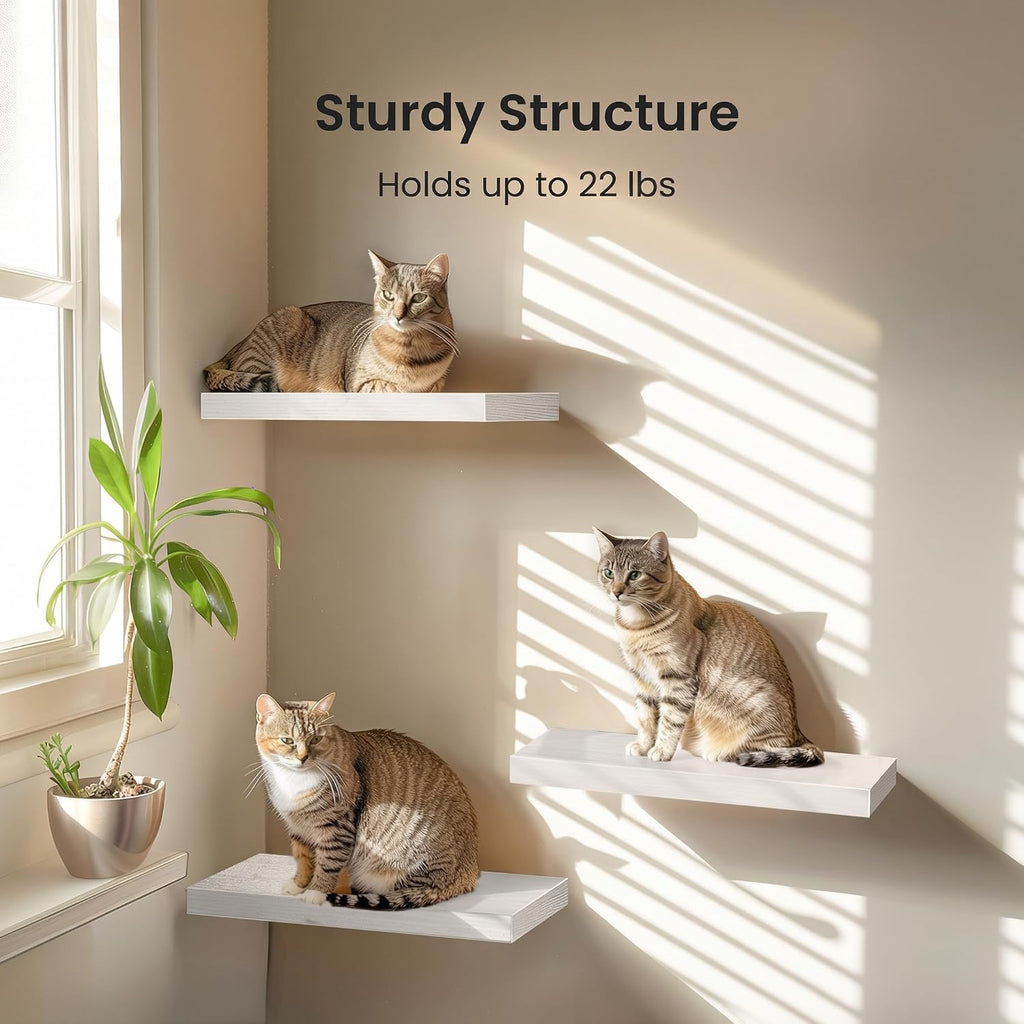 Floating Shelves, Wall Shelves /Living Room/Bedroom/Kitchen Decor, White Shelves with Invisible Brackets Set of 3