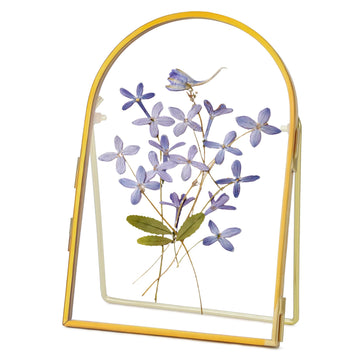Double Glass Frame for Pressed Flowers Handmade, Arc, Gold, 4x6 in