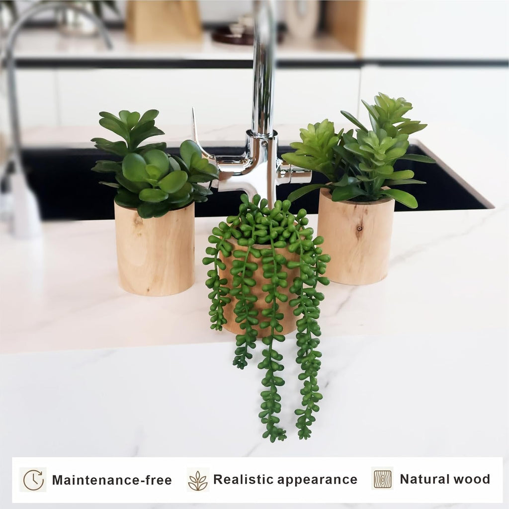 Artificial Succulents Plastic Artificial Green Plant Decor (Set of 3 Succlents in Wooden pots)