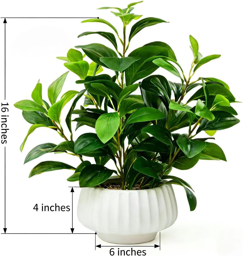 Artificial Peperomia Plants 16.5" Tall Lifelike Faux Greenery in 6" White Ribbed Ceramic Planter Realistic Indoor