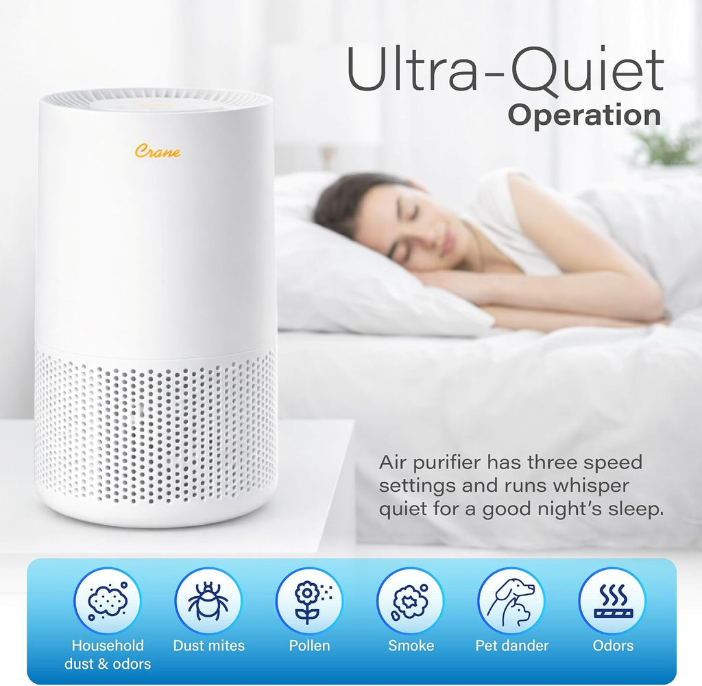 True HEPA Air Purifiers for Home, Up To 250 Sq Ft, Air Purifiers For Bedroom, and Office, Removes Dust, Smoke, Pet
