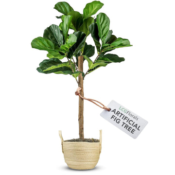 3ft Artificial Fiddle Leaf Fig Tree in Boho Woven Basket - Real Wood Trunk, Preassembled, No Maintenance Indoor Faux