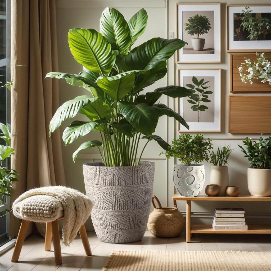 Round Concrete Style Planter Set of 3, Large Outdoor Flower Pots with Drainage, Stone Texture Plant Pots for Indoor