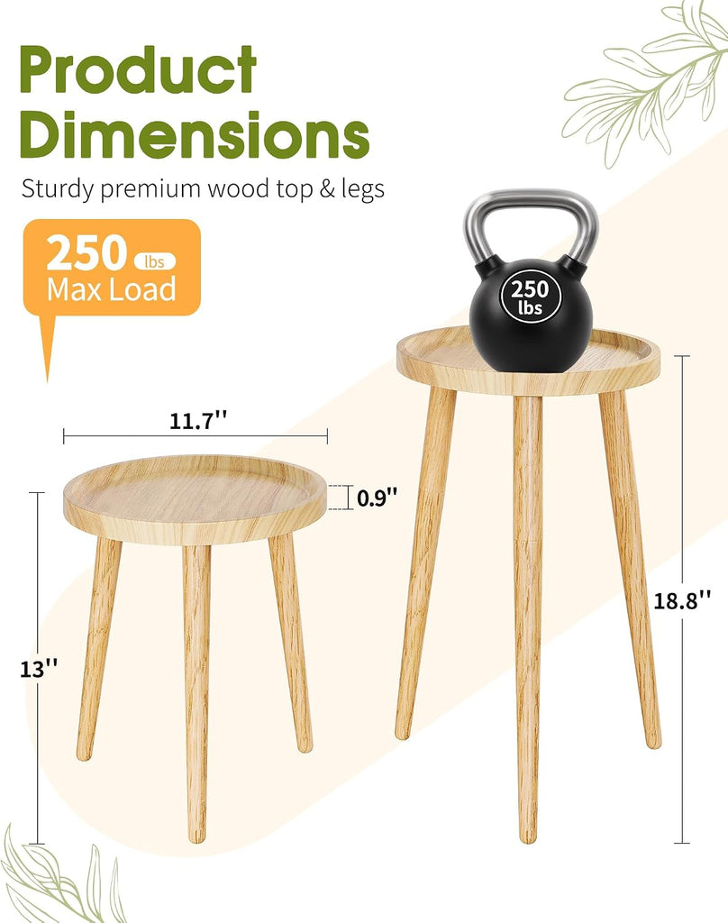 Plant Stand Indoor 2 Pack, Mid Century Wood Indoor Plant Stands, Tall Plant Holder for Flower Pot, Modern Plant Table