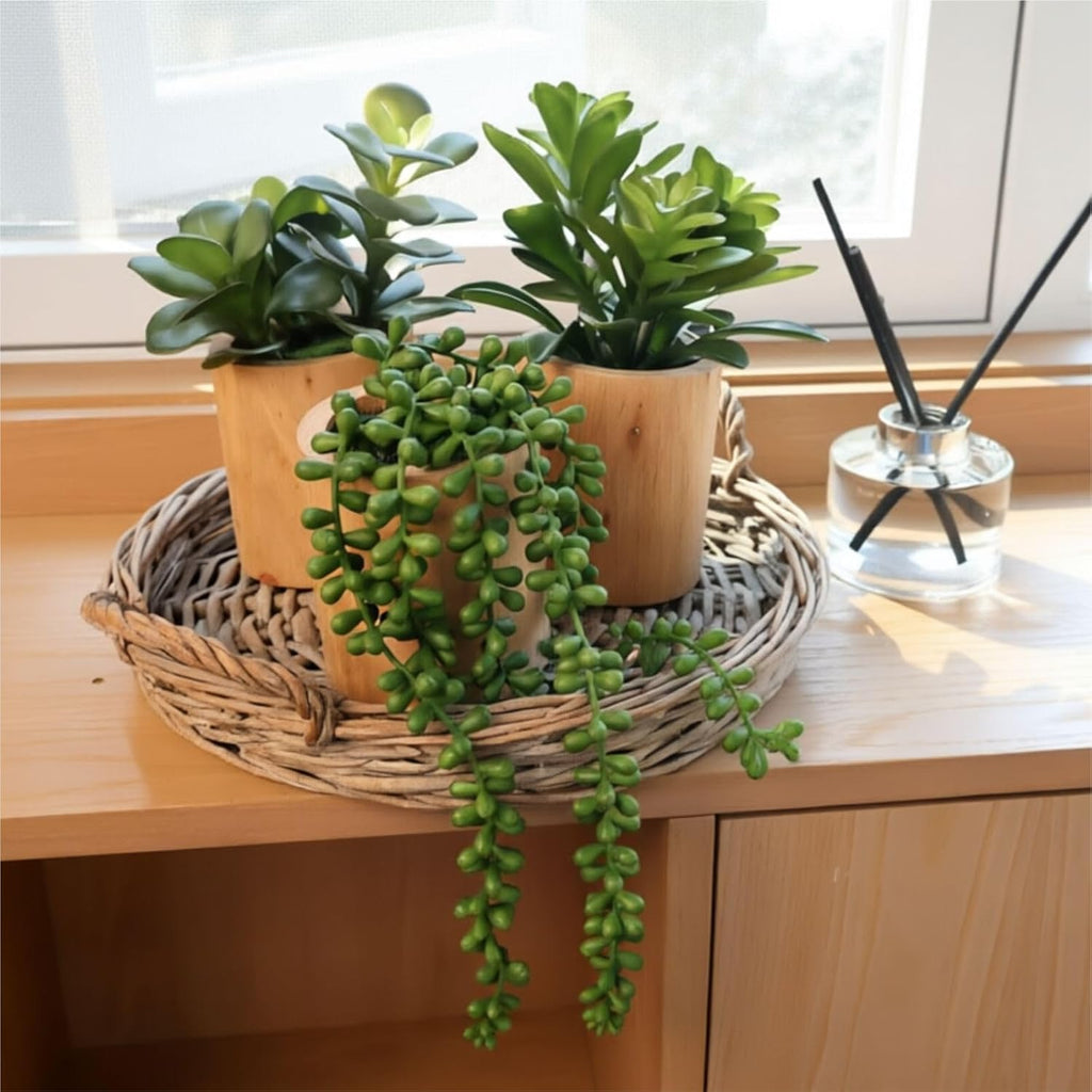 Artificial Succulents Plastic Artificial Green Plant Decor (Set of 3 Succlents in Wooden pots)