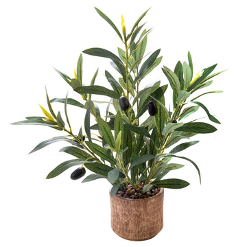 Indoor Fake Olive Plant 12 inch Faux Silk Leaves with Black Rustic Planter Medium Size Perfect Artificial Olive