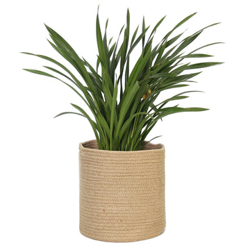 Woven Jute Plant Basket, Wicker Basket Planter for 10 inch Pot, Round Indoor Tree Pot Cover, Small Boho Storage Bin