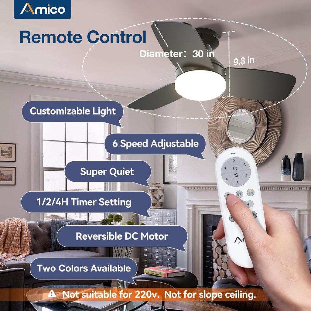 Ceiling Fans with Lights, 30 inch Low Profile Ceiling Fan with Light and Remote Control, Flush Mount, Reversible, 3CCT, Dimmable, Noiseless, Black Ceiling Fan for Bedroom, Indoor/Outdoor Use