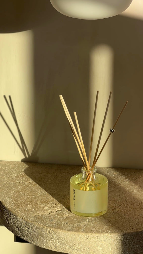 IF Mini Aromatic Diffuser| Modern White Floral & Citrus | Up to 6 Months | 2 oz | 55 ml | Small Batches for Luxury