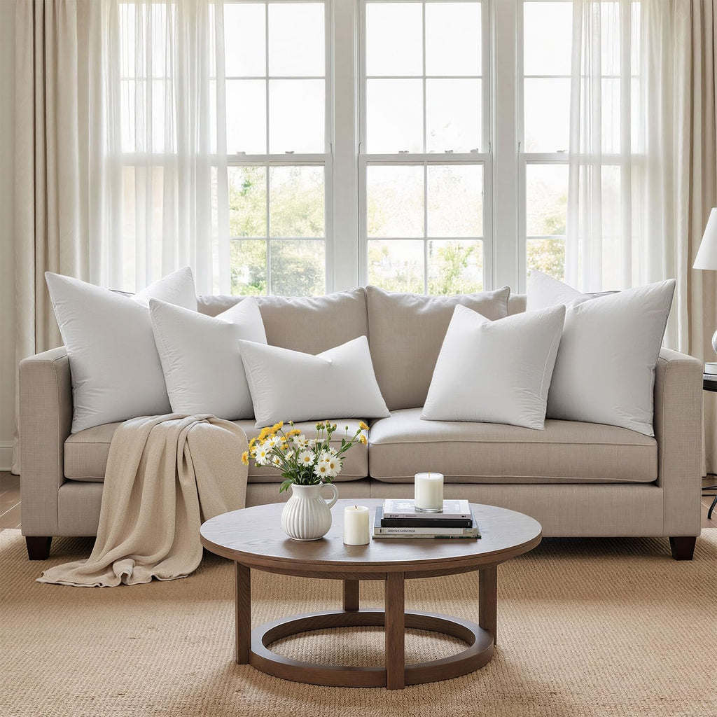 22x22 Pillow Inserts, Premium Feather and Down Pillows - Set of 4