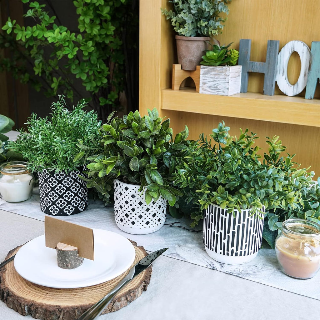 3-Pack Artificial Potted Plants - Faux Eucalyptus, Rosemary, Boxwood Greenery in Small Black & White Geometric