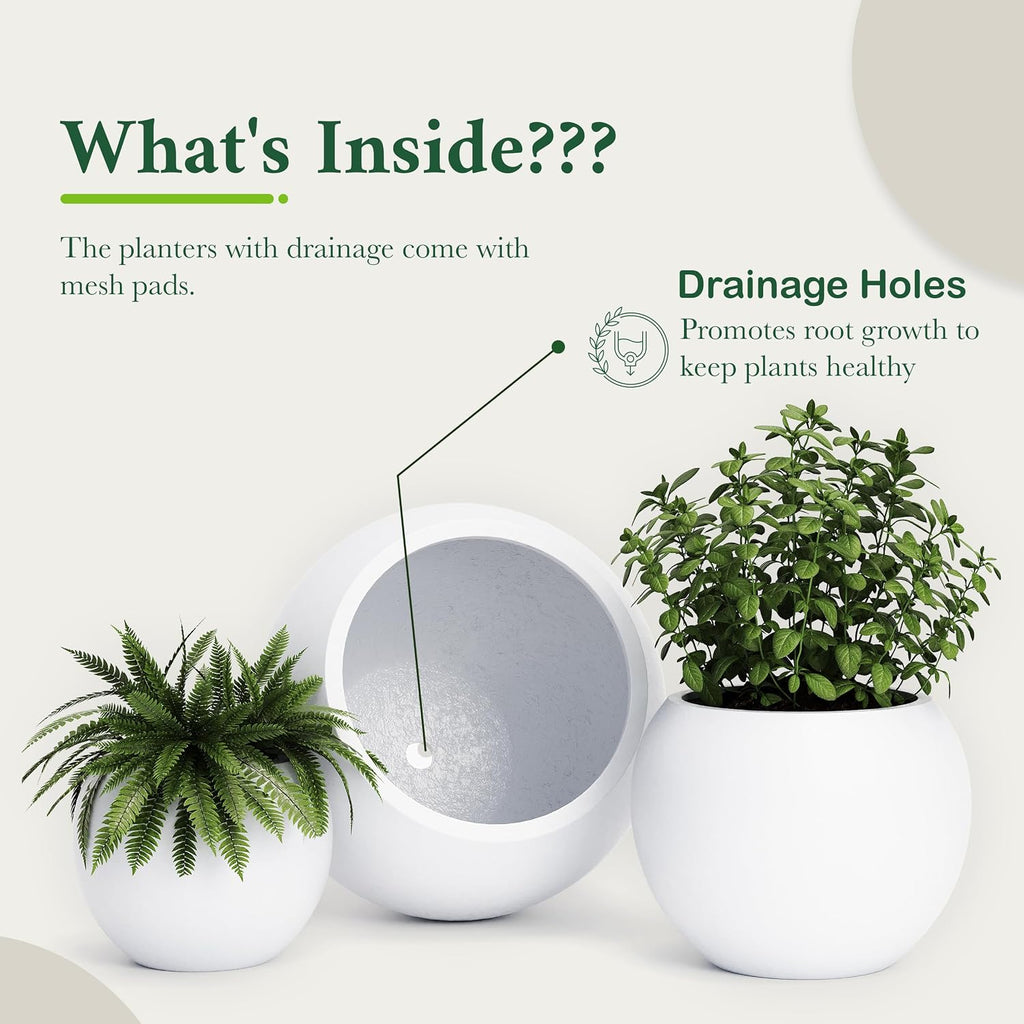 Fiberstone Sphere Planter for Olive Trees, Large Round Globe Planter Indoor Outdoor, White, 70% Lighter Than Stone