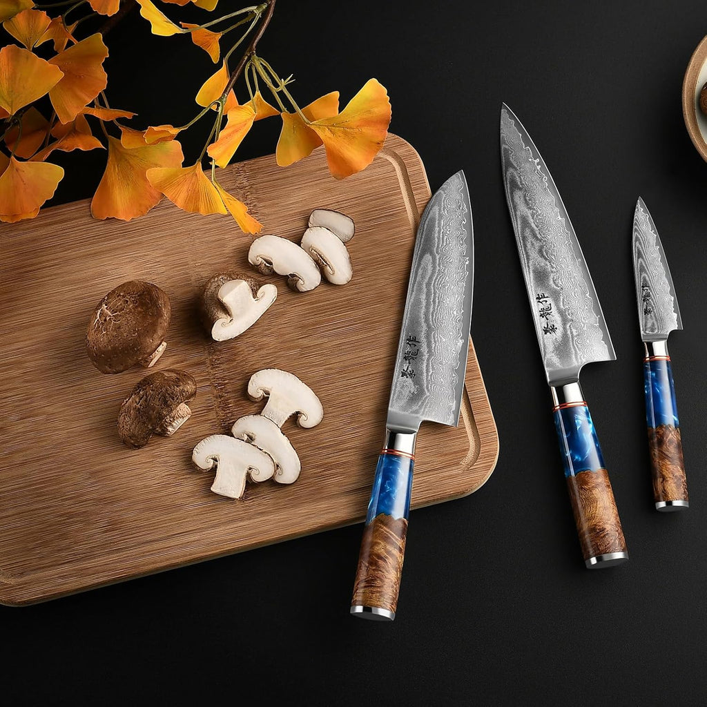Japanese Chef Knife Set 3 Pcs, 67-Layer Damascus Kitchen Knife Set with VG10 Steel Core, Professional Sharp Damascus