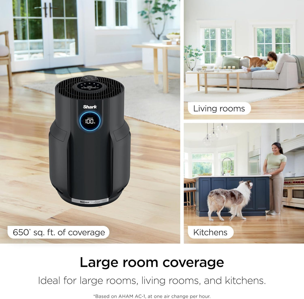 Air Purifier for Home, NeverChange, for Large Room, HEPA-Exceeding Filter, Captures Pollutants, Pet 
