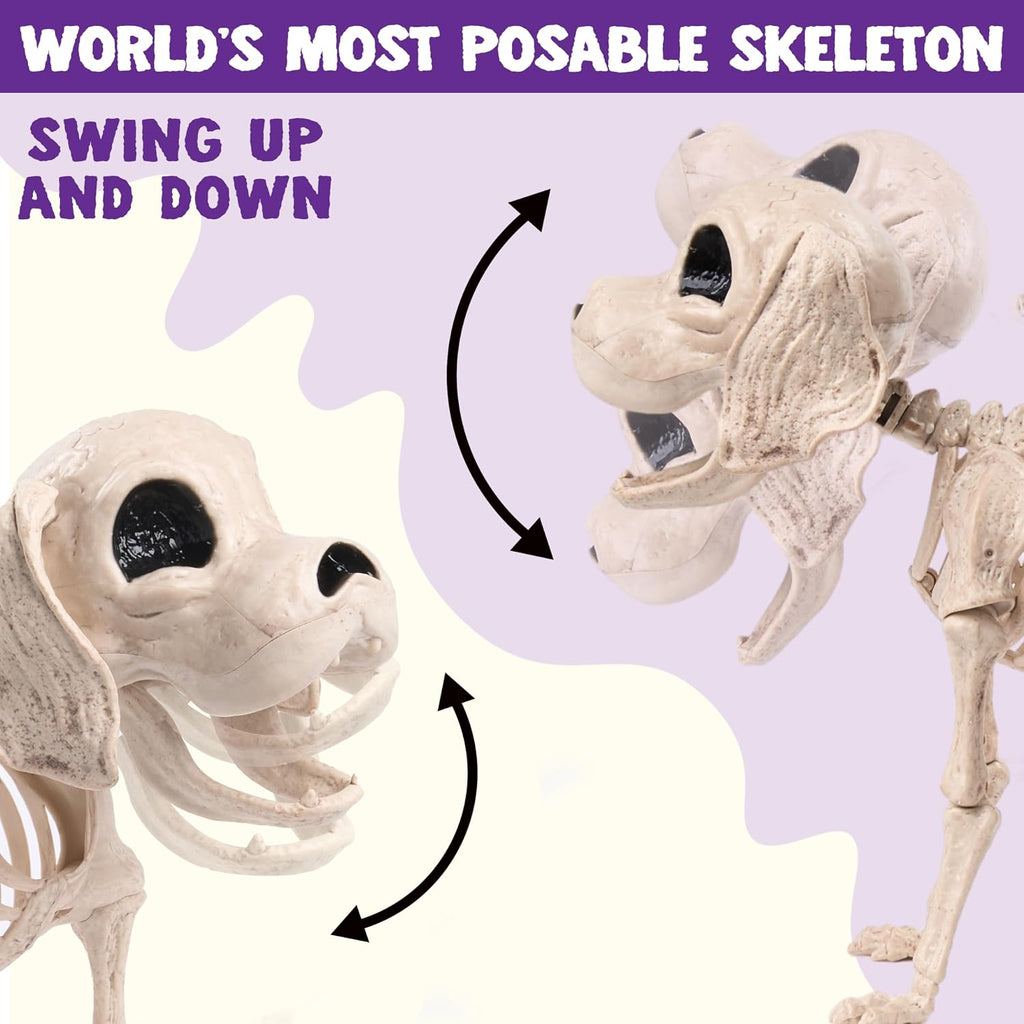 Posable Halloween Dog Skeleton Full Body Posable Joints Realistic Skeleton Puppy with Movable Joints for Halloween