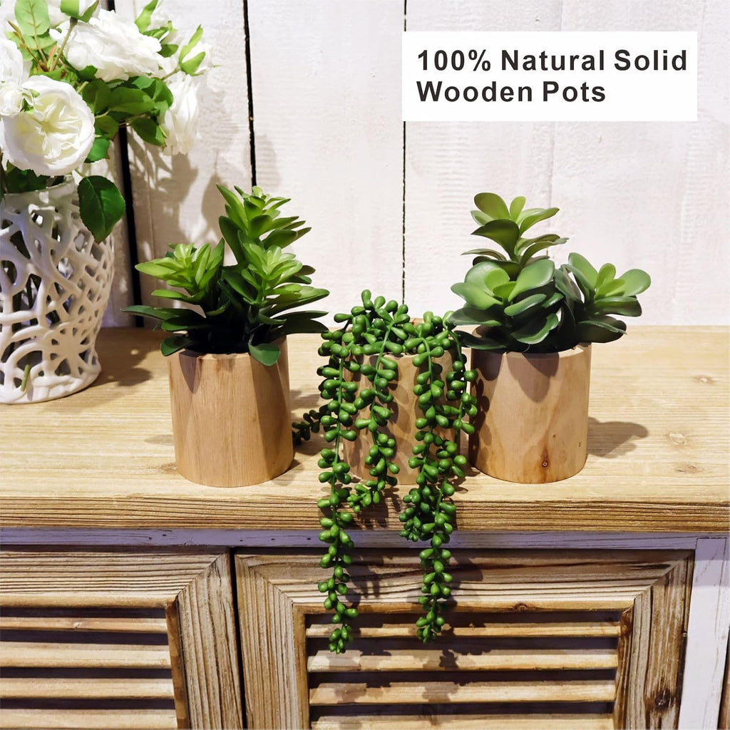 Artificial Succulents Plastic Artificial Green Plant Decor (Set of 3 Succlents in Wooden pots)