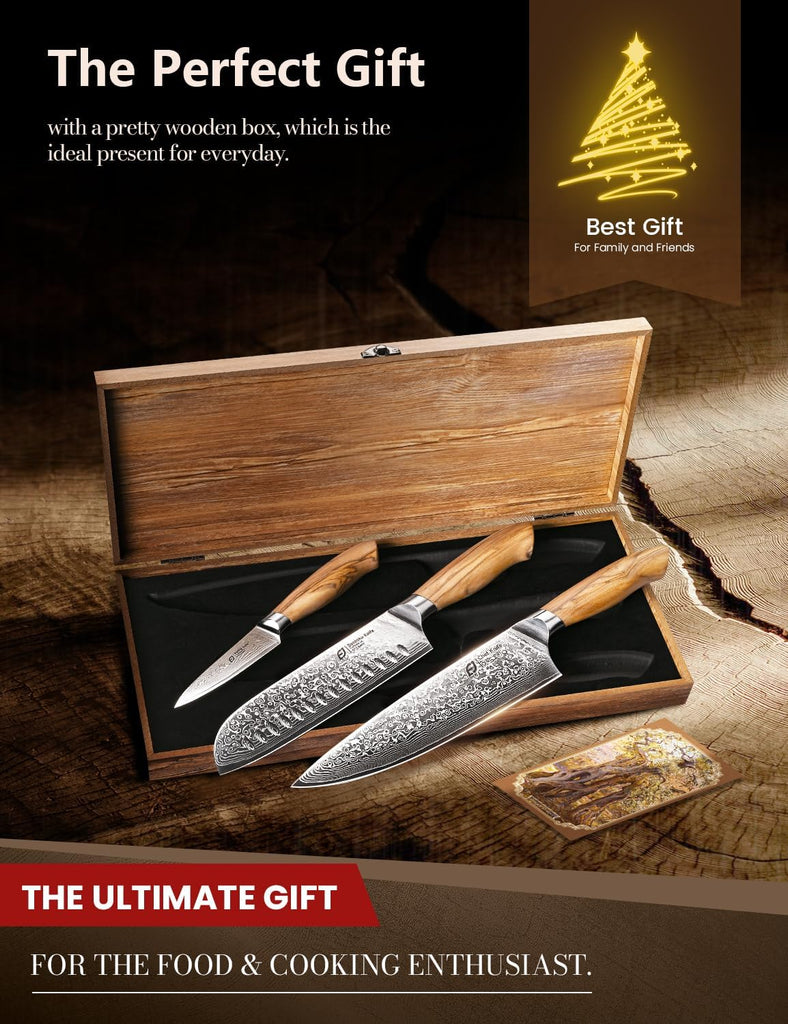 Damascus Kitchen Knife Set, 3 PCS Japanese Chef Knife Set, 67-Layers Damascus Knife with Original Olive Wood Handle