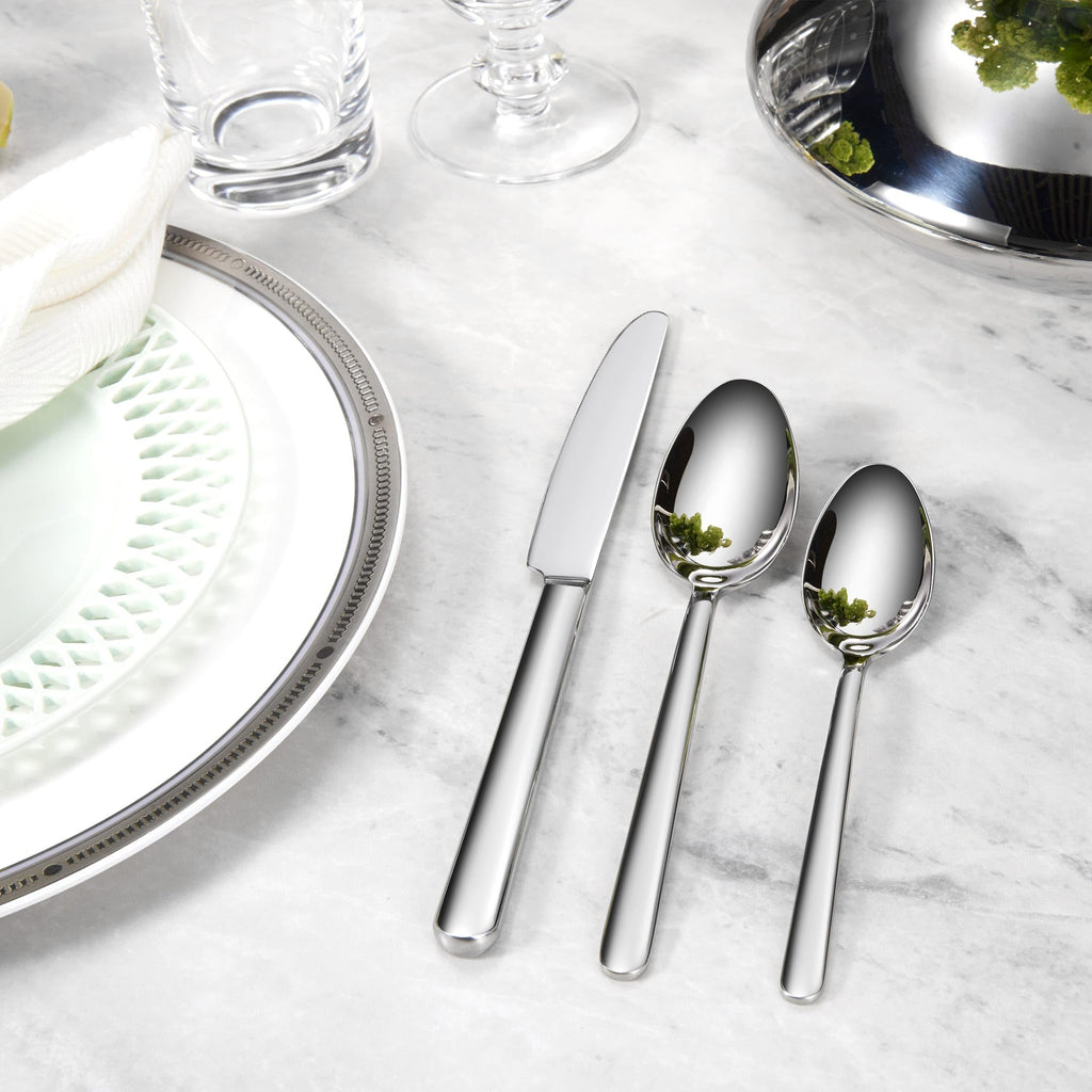 Premium Aline 20/45/65-Piece Modern Silverware Set (45, Silver)