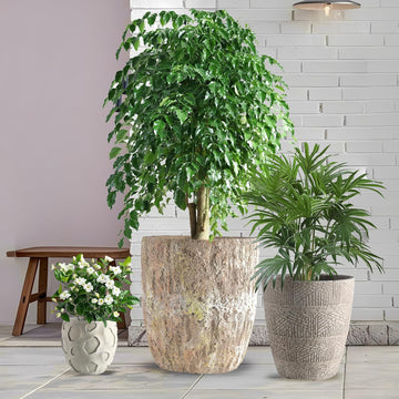 Round Concrete Style Planter Set of 3, Large Outdoor Flower Pots with Drainage, Stone Texture Plant Pots for Indoor