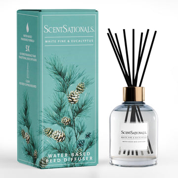 White Pine & Eucalyptus Water-Based Reed Diffuser - 5 FL OZ