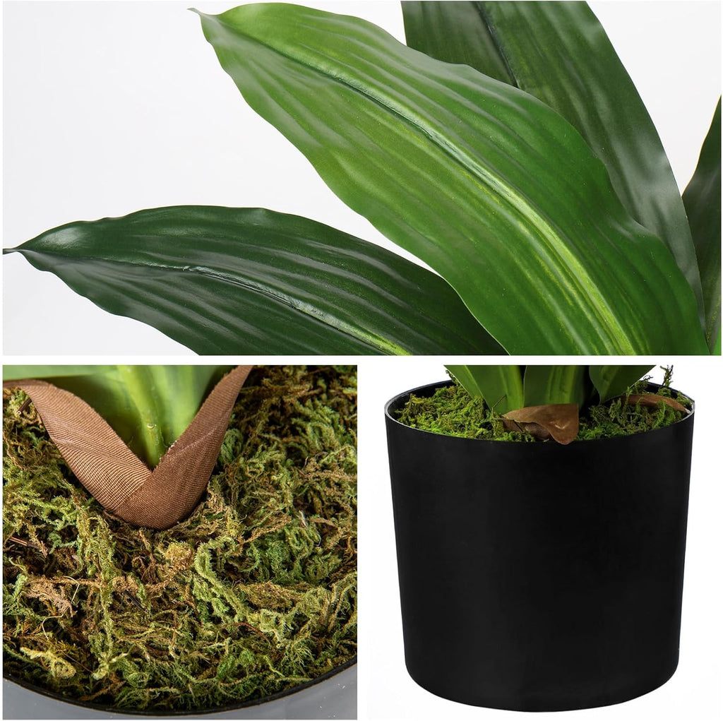 Faux Plants 17'' Dracaena Artificial Plants Indoor Yucca Fake Potted Plant with 19 Leaves Tropical Silk Plant Living