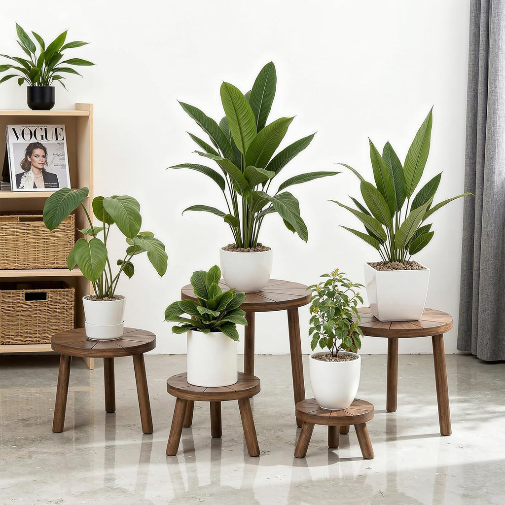 Wood Plant Stands Indoor, 5-Pack Single Plant Stand for 6-12 Inch Pots, Mid-Century Modern Plant Stool, Tall Plant