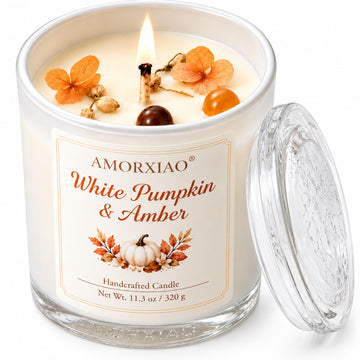 Pumpkin & Amber Scented Candle, 11.3 Oz Soy Wax Fall Candle Gift for Women