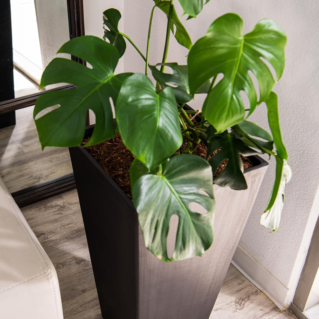 Modern 30-Inch Tall Square Planter, Modern Tapered, Perfect for Indoor & Outdoor, Patio Décor, Set of 2, Black