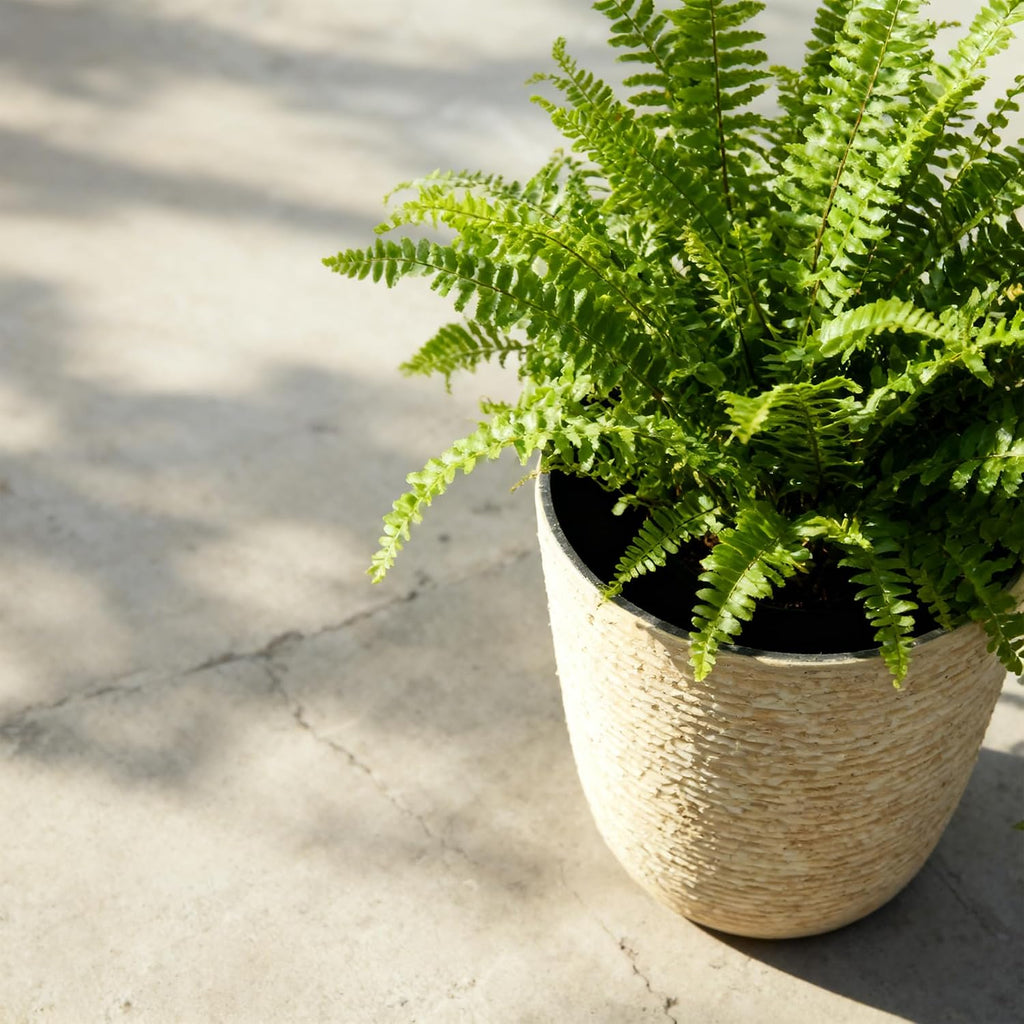 9 Gallon Tall Round Planters Set of 2-14" Dia x 21" H Stone Finish Flower Pots Indoor Decorative Container Garden