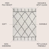 Y Mercer Shag Plush Tassel Ivory/Gray Indoor Area Rug, 3x5, Moroccan Geometric Trellis