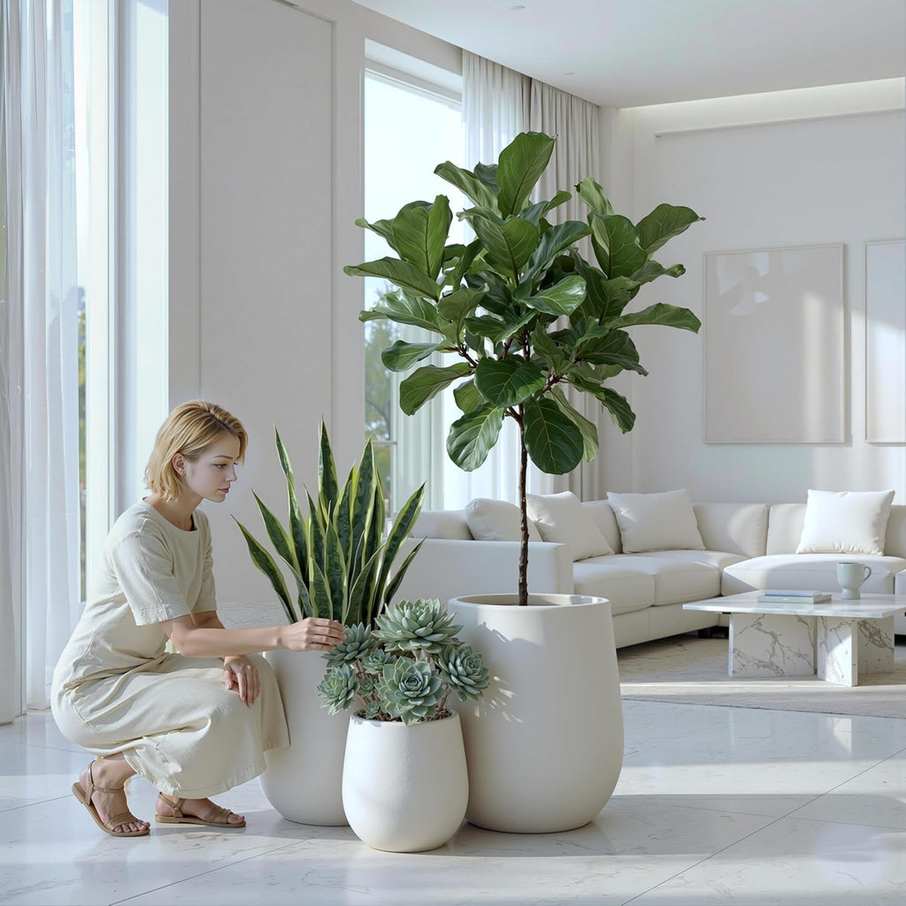 Premium Mt Wilson Tall Tapered Fiberstone Planter for Indoor Outdoor Use, Modern Large Olive Tree Pot with Drainage
