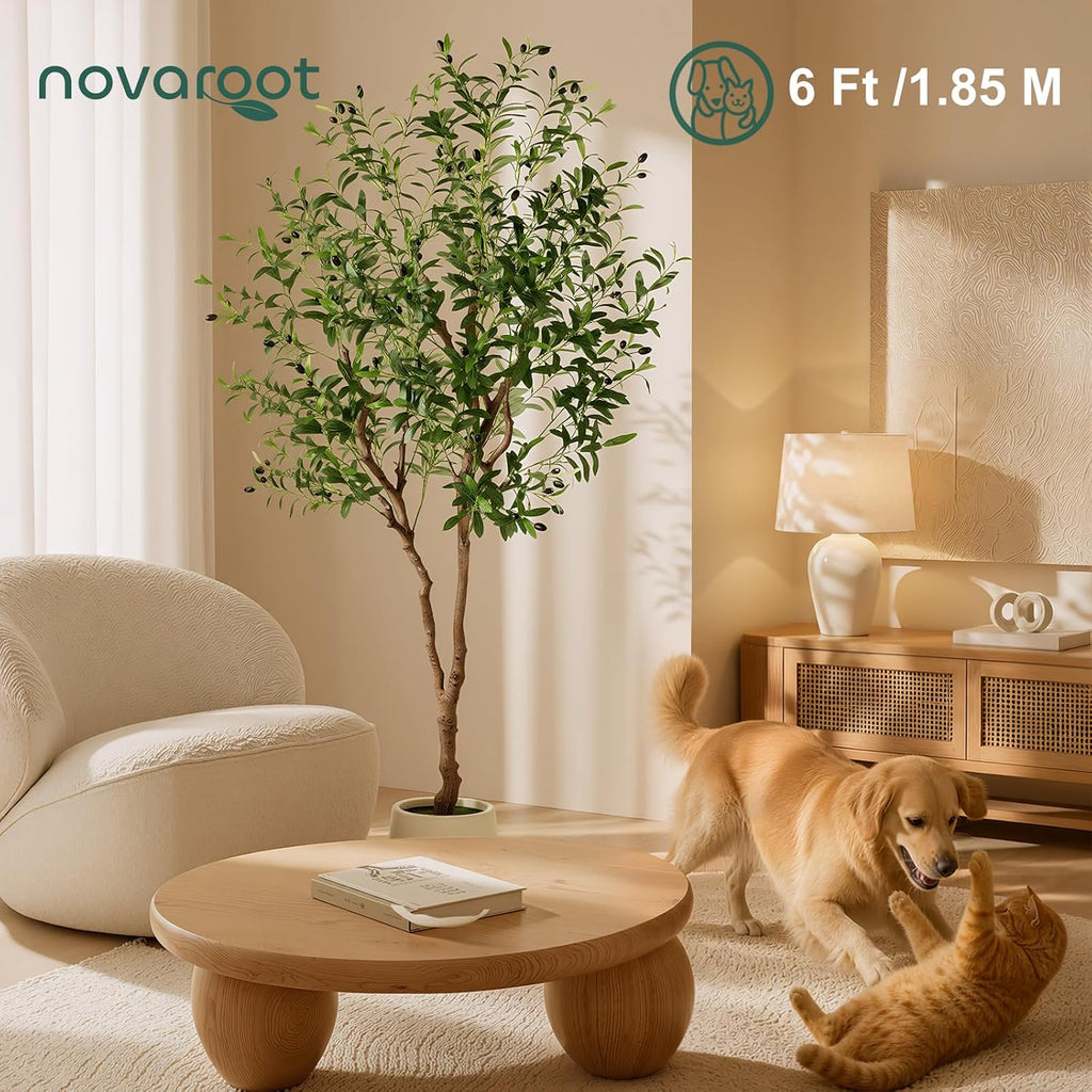 6FT Faux Olive Tree with Decorative Planter, Olive Trees Artificial Indoor with Textured Trunk, Silk Leaves and Olive