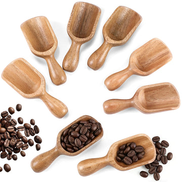 8 Pcs Wooden Scoops for Canisters Mini Acacia Wood scoop, Shovel