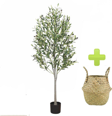 5-Foot Artificial Olive Tree, Indoor Artificial Plant, with Natural Trunk and Realistic Leaves and Fruits, Used