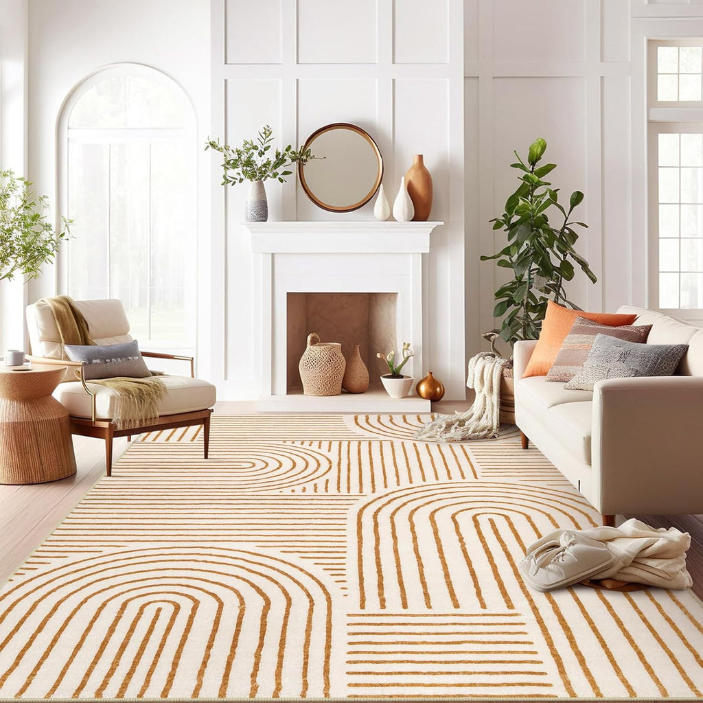 Abstract 10x14 Area Rugs