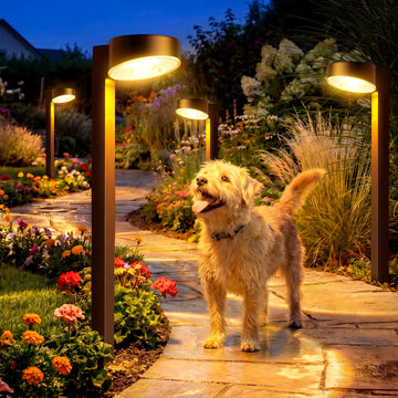 Solar Pathway Lights, 8 Pack LED Solar Lights Outdoor Waterproof, Garden Lighting for Yard Path Landscape Lawn
