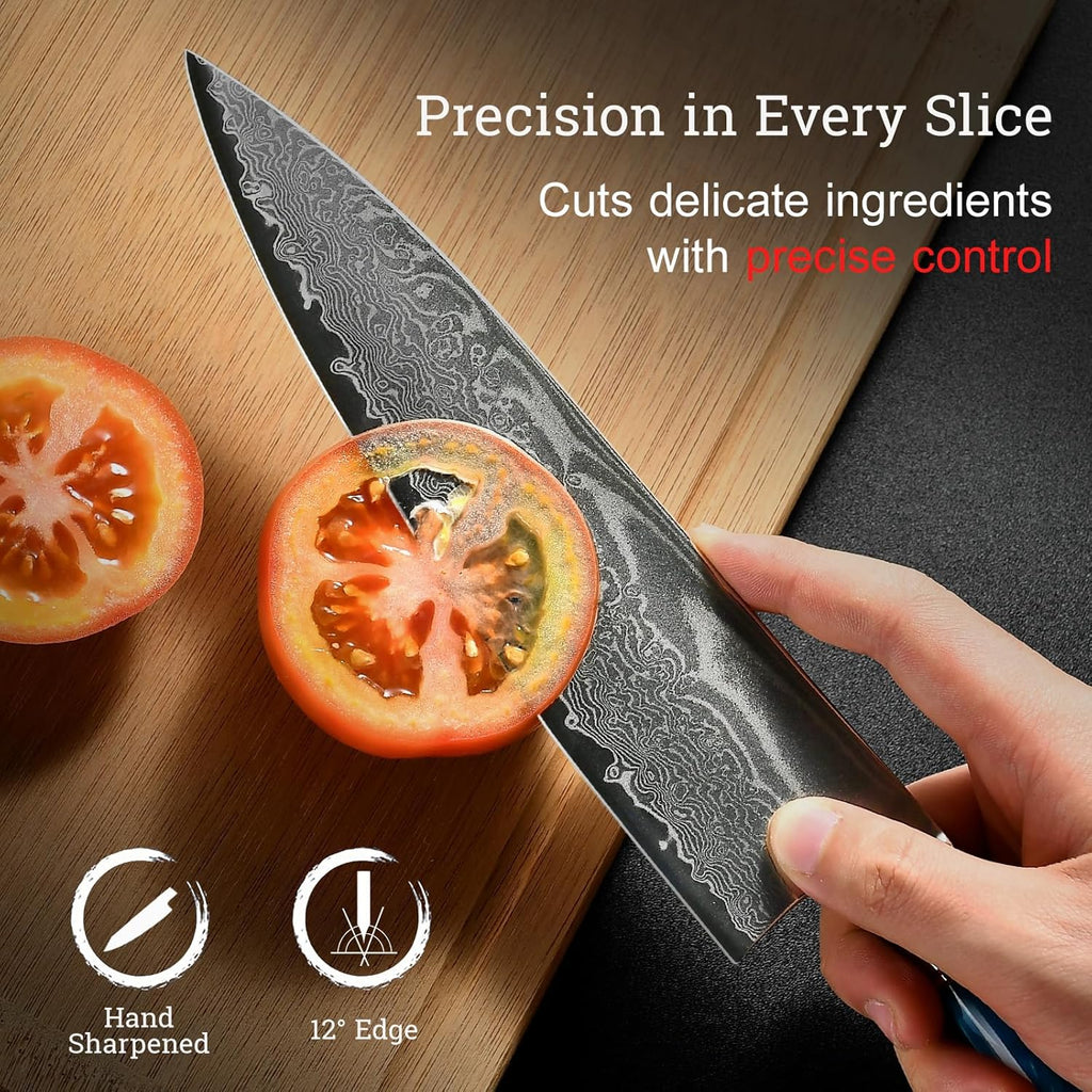 Japanese Chef Knife Set 3 Pcs, 67-Layer Damascus Kitchen Knife Set with VG10 Steel Core, Professional Sharp Damascus