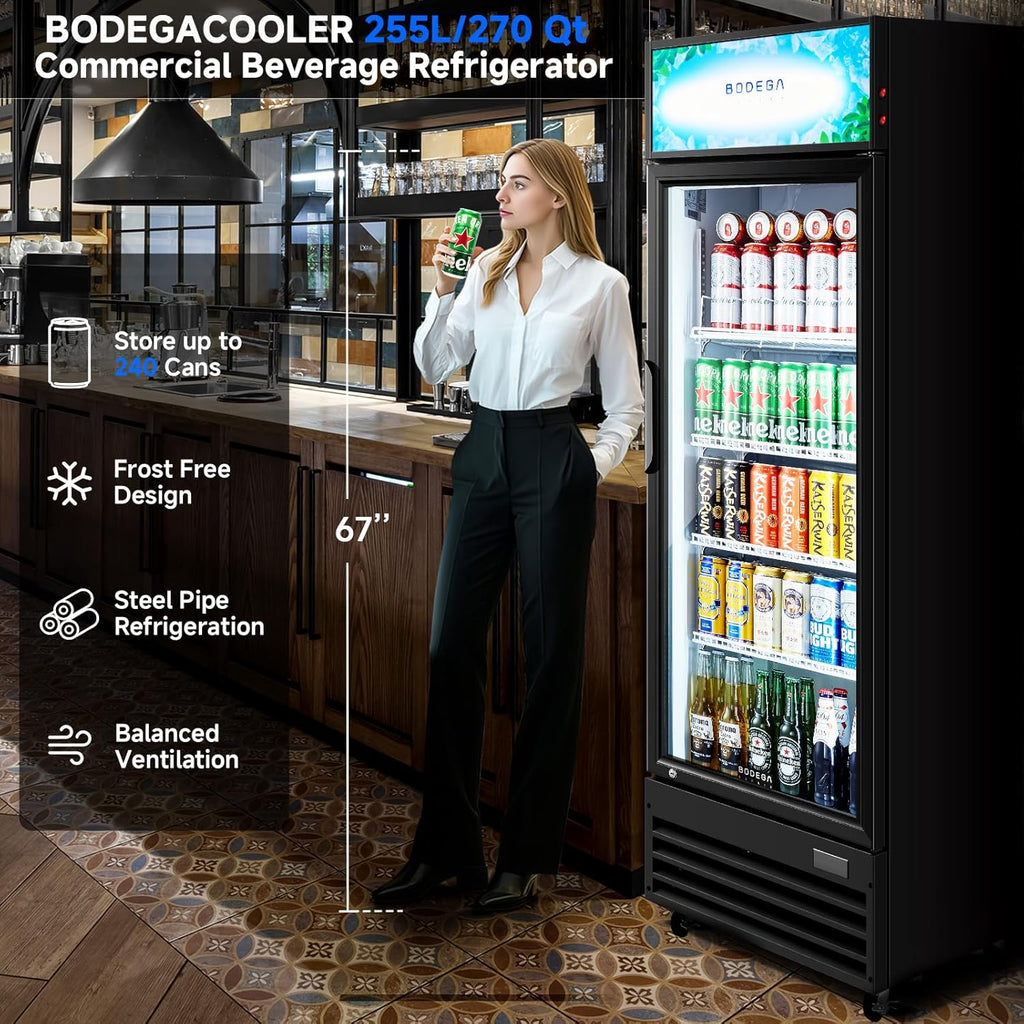 COOLER 255L/270 Qt Commercial Beverage Refrigerator | Glass Door Merchandiser Fr