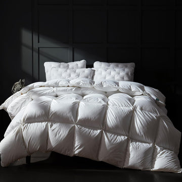 Luxury Goose Down Comforter Queen, Ultra-Soft Fluffy Duvet Insert for All Season