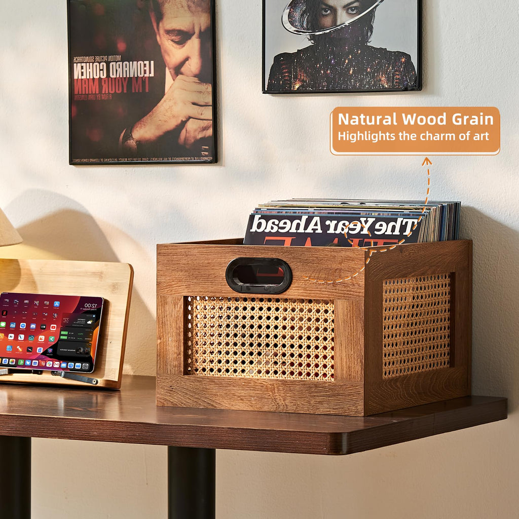 2 Pack Vinyl Record Storage Crates, Rattan Vinyl Record Holder