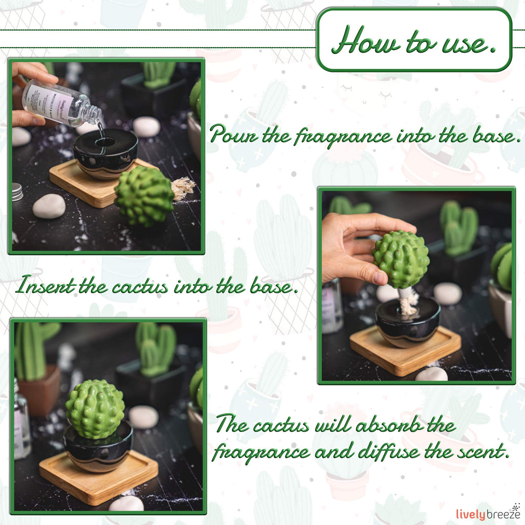 Frank Cactus, Non-Electric Ceramic Diffusers for Essential Oils and Aromatherapy Fragrance, White Ceramic Diffusers